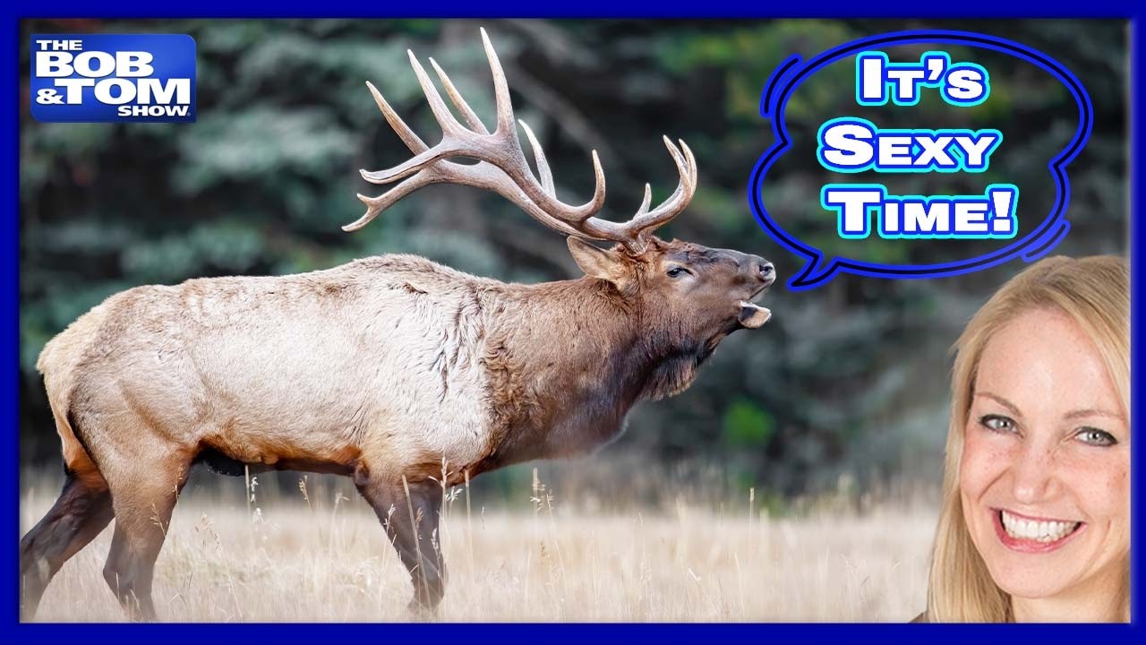 It's Sexy Time - Camel Toes & Moose Knuckles