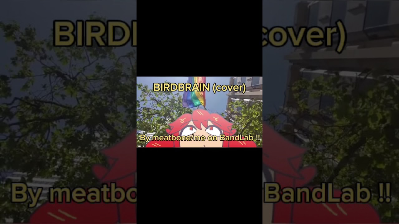 BIRDBRAIN (cover!)