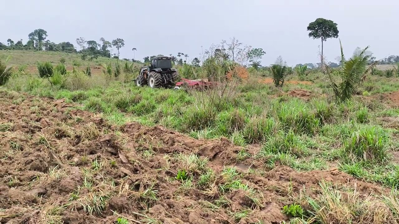 Valtra BH  no preparo de solo