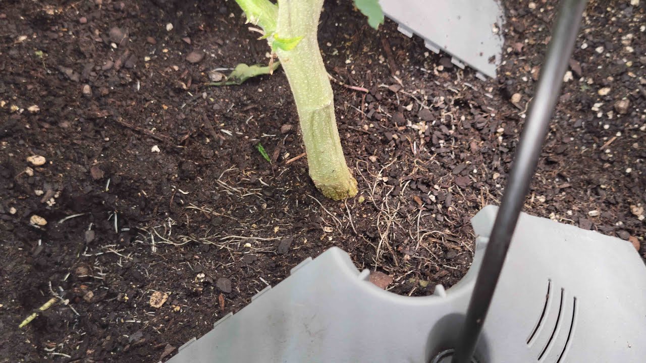 Garden Tour
