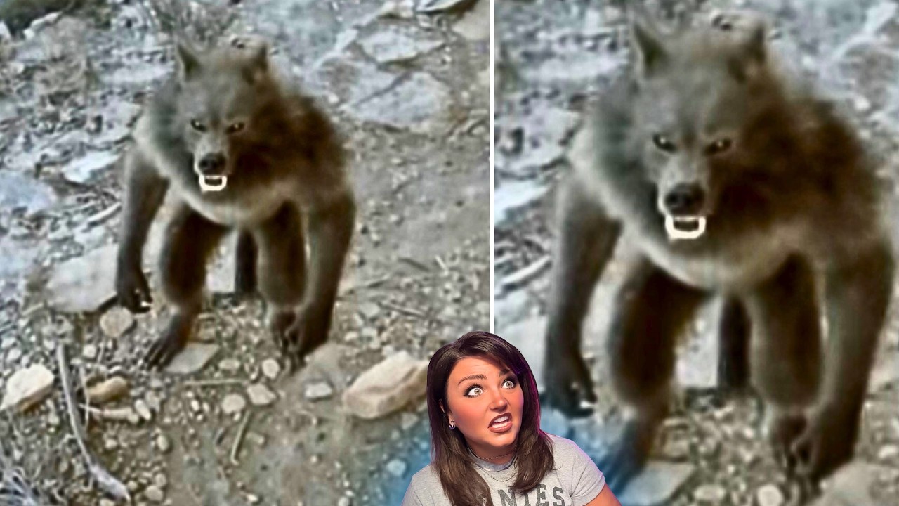 SHOCKING Real CRYPTIDS Caught On Trail Cam You've NEVER Seen 2026