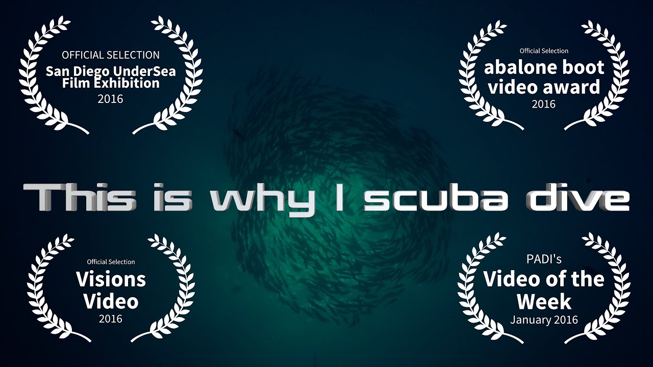 This is why I scuba dive - Matthias Lebo Demo Reel 2015