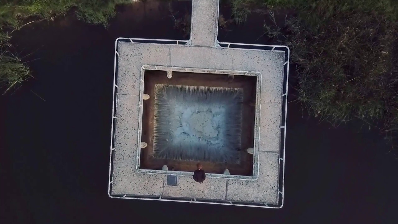 Sammalhabe - Muusikamaitsedisain