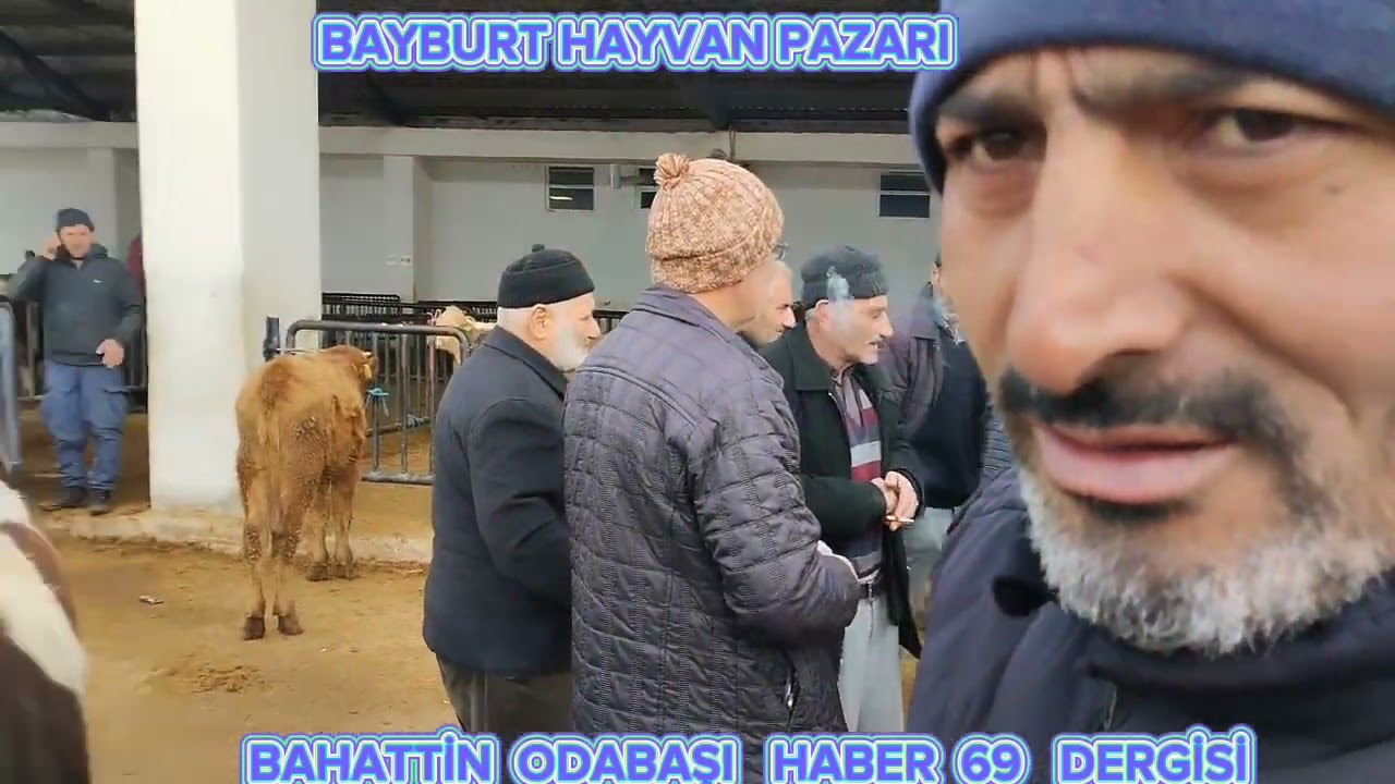 BAYBURT HAYVAN PAZARI
