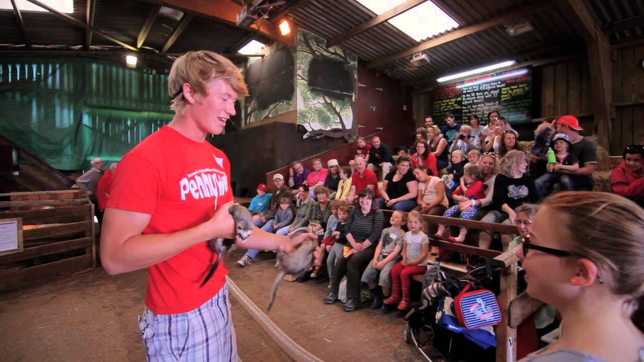 Pennywell Farm Activities