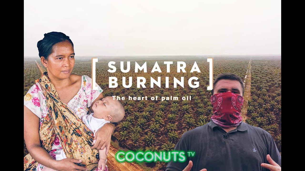 Indonesia Haze and Forest Fires | Sumatra Burning | The heart of palm oil (FINAL CUT)