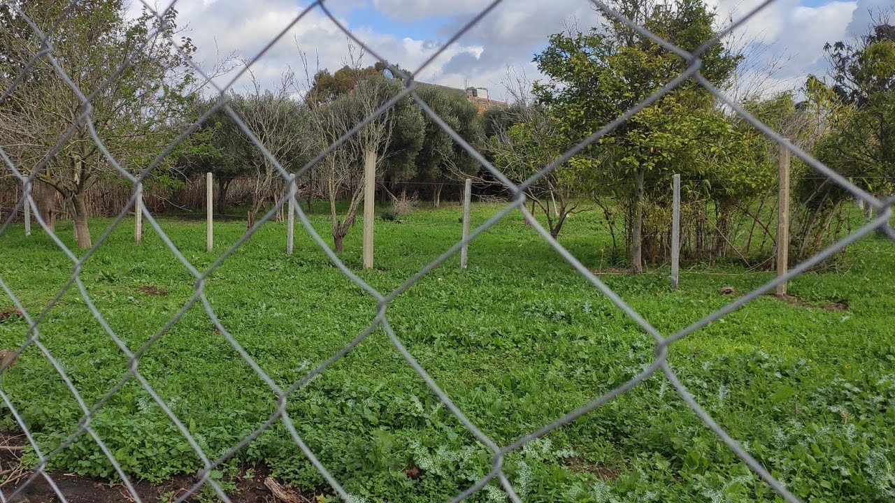 أرض للبيع✅في طنجة دعيدعات تمن همزة ابتدأ من 7مليون وفيها المفاهمة 