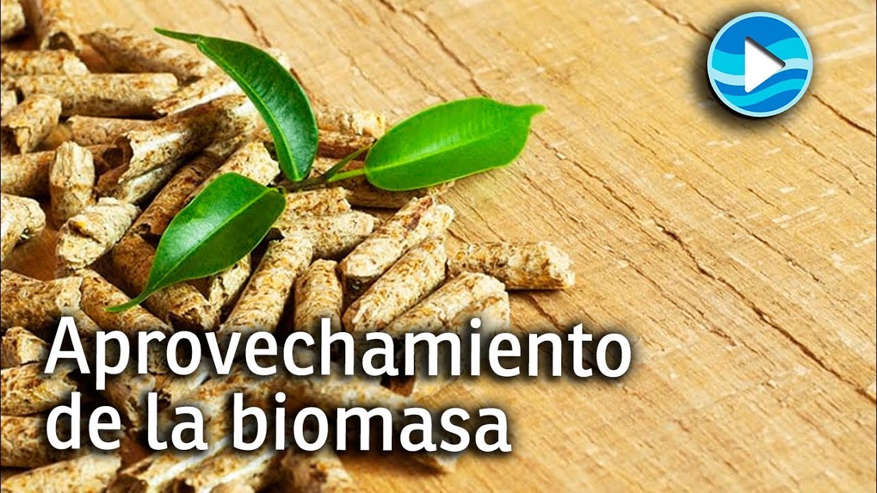 Aprovechamiento energ&eacute;tico de la biomasa