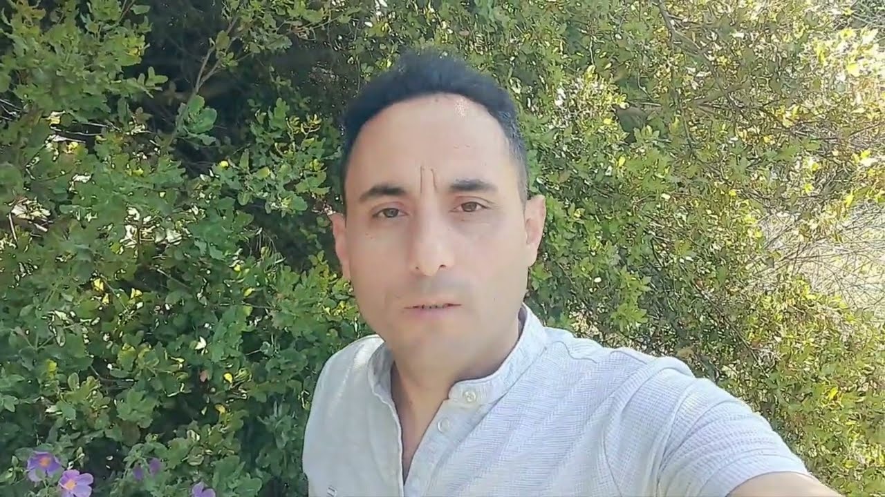 Yılın ilk arapsaçı otlarını topladım / Yabani rezene / Doğada yenilebilir yabani otlar