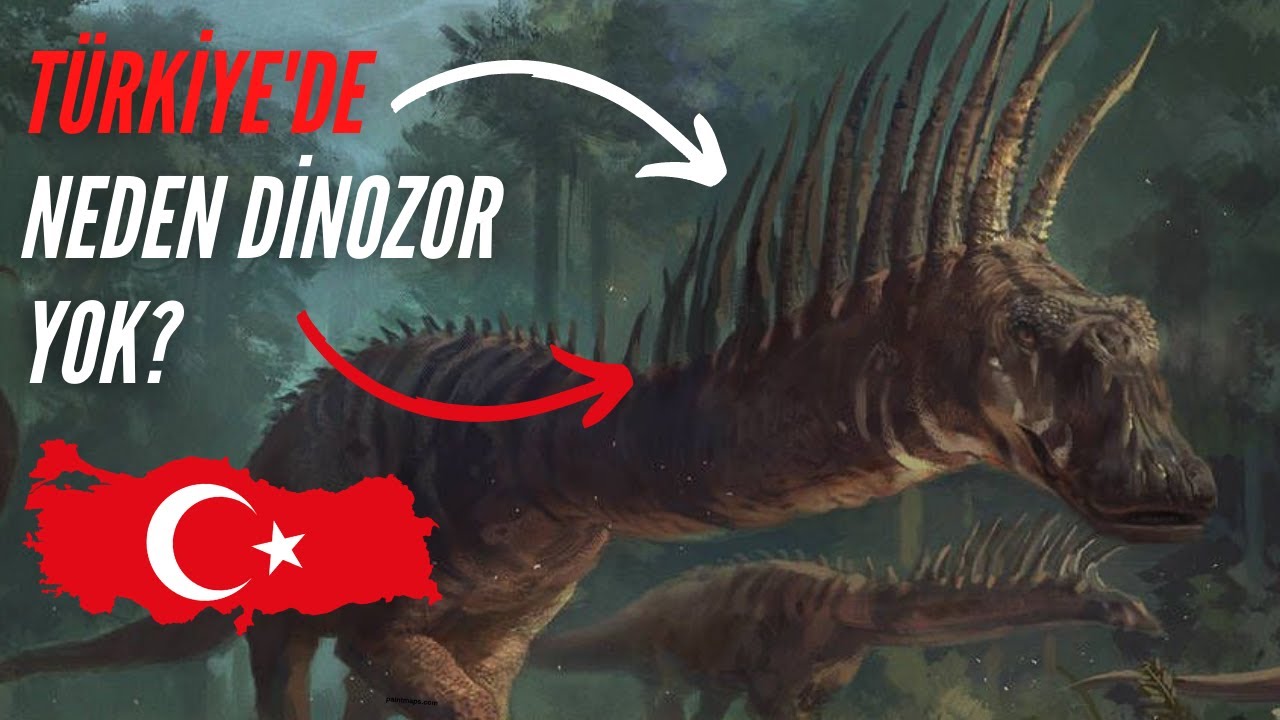 Türkiye'de neden dinozor fosili yok?!