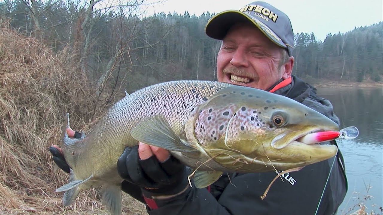 Kalėdos ir šlakiai. TV
