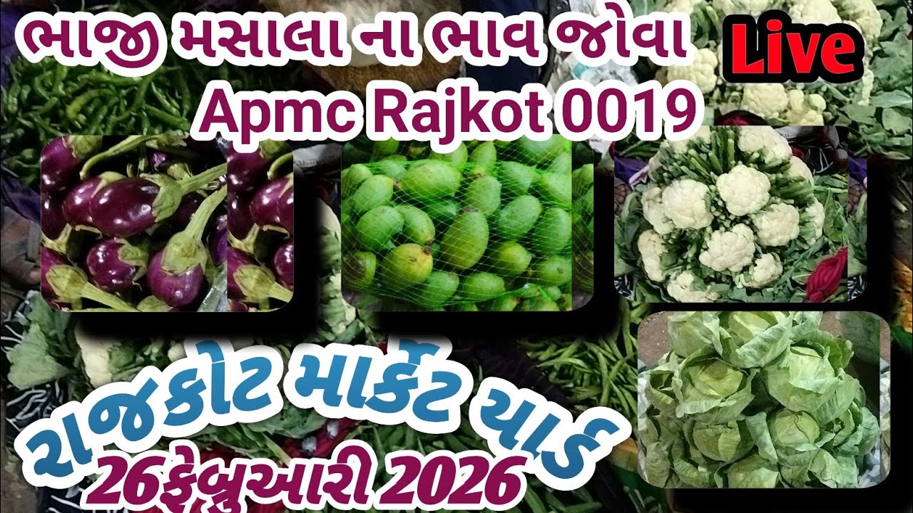 Rajkot market yard 26/02/2026 green vegetable price 