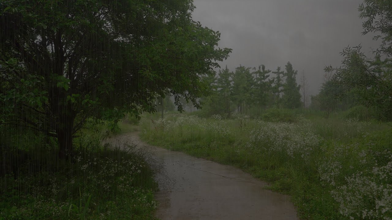 Rain Sounds for Sleeping 1 Hour Studying, Relaxation, and Meditation