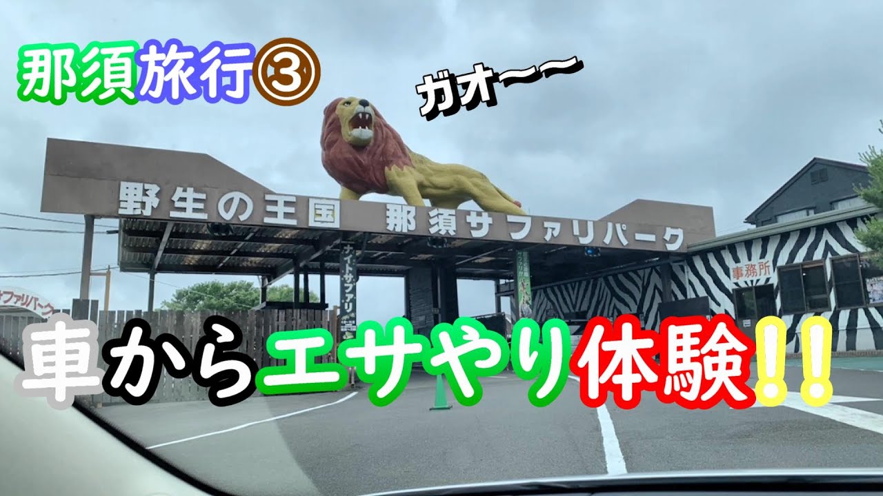 【那須旅行③】(超ど素人が撮った)那須サファリパークで大奮闘！？ゆきちゃん大絶叫😱の巻