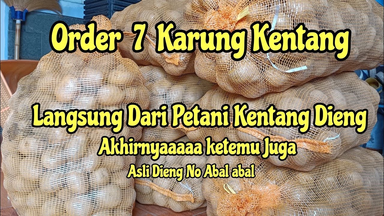 ORDER 7 KARUNG KENTANG ASLI DARI PETANI KENTANG DIENG // KENTANG DIENG PULEN GURIH MANIS