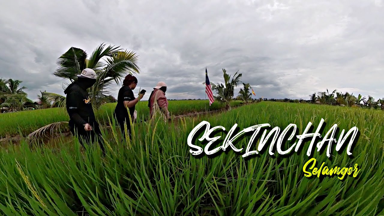 7 tempat MAKAN BEST di SEKINCHAN & TANJONG KARANG