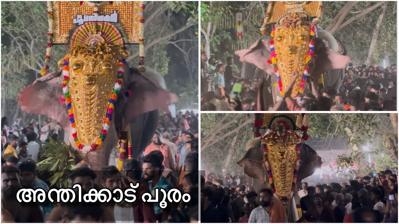 അന്തിക്കാട്