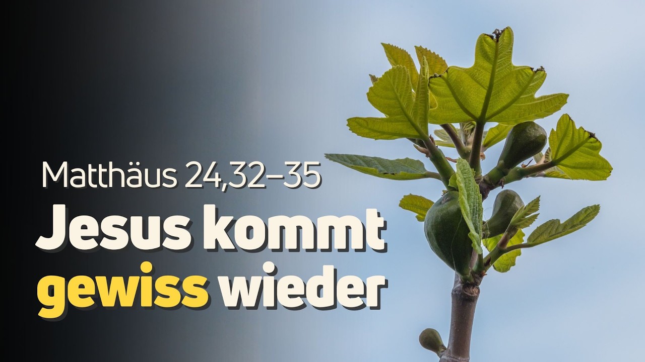 Matthäus 24,32–35 | Jesus kommt gewiss wieder | Daniel Diestel
