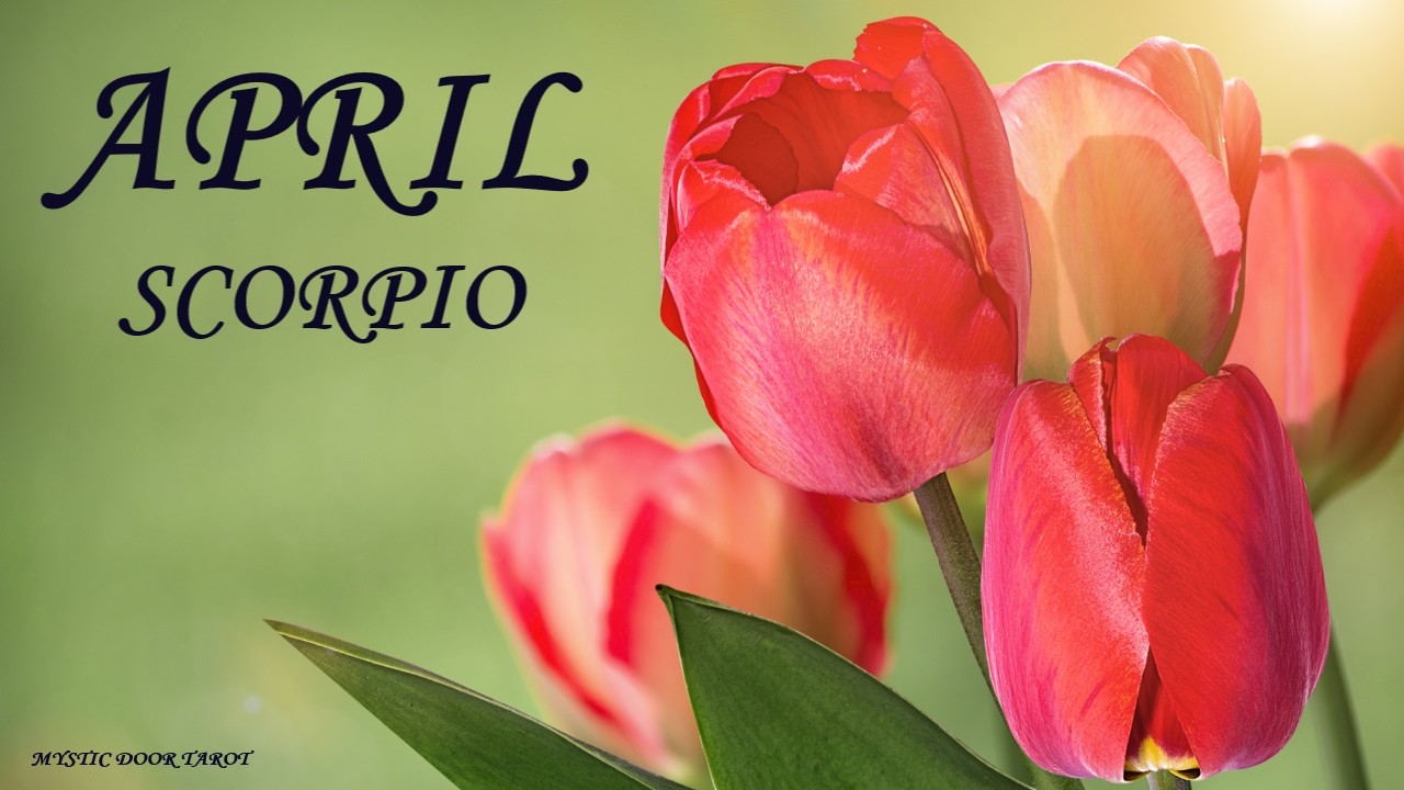 Scorpio Monthly Tarot Reading ~ April 2026 ~DIVINE TIMING WORKING IN YOUR FAVOR...WISH FULFILLMENT!