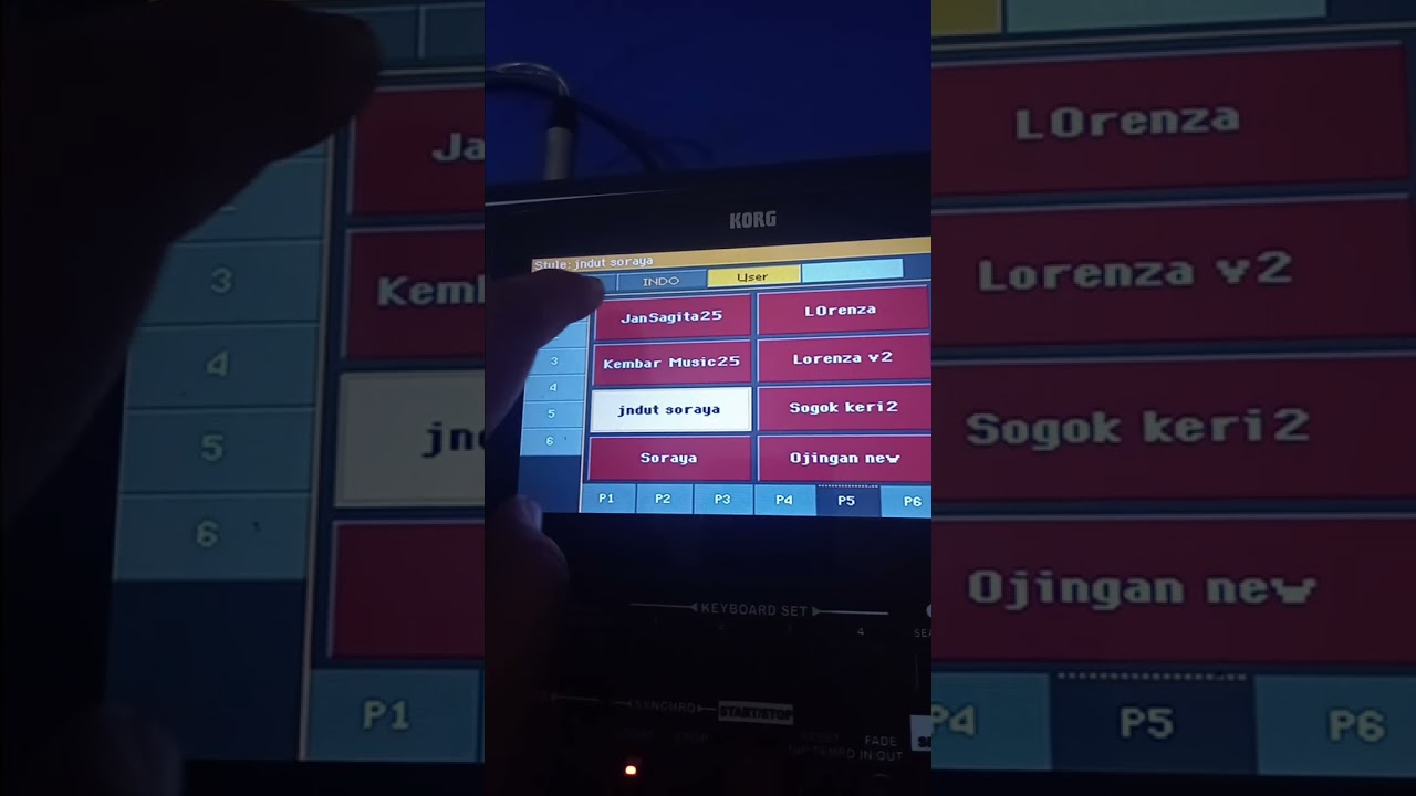 SAMPLING KORG PA700 NEW