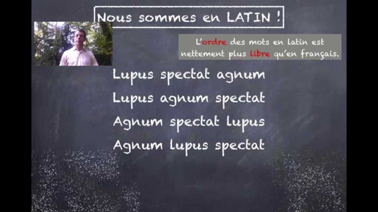 Fonctionnement général du latin