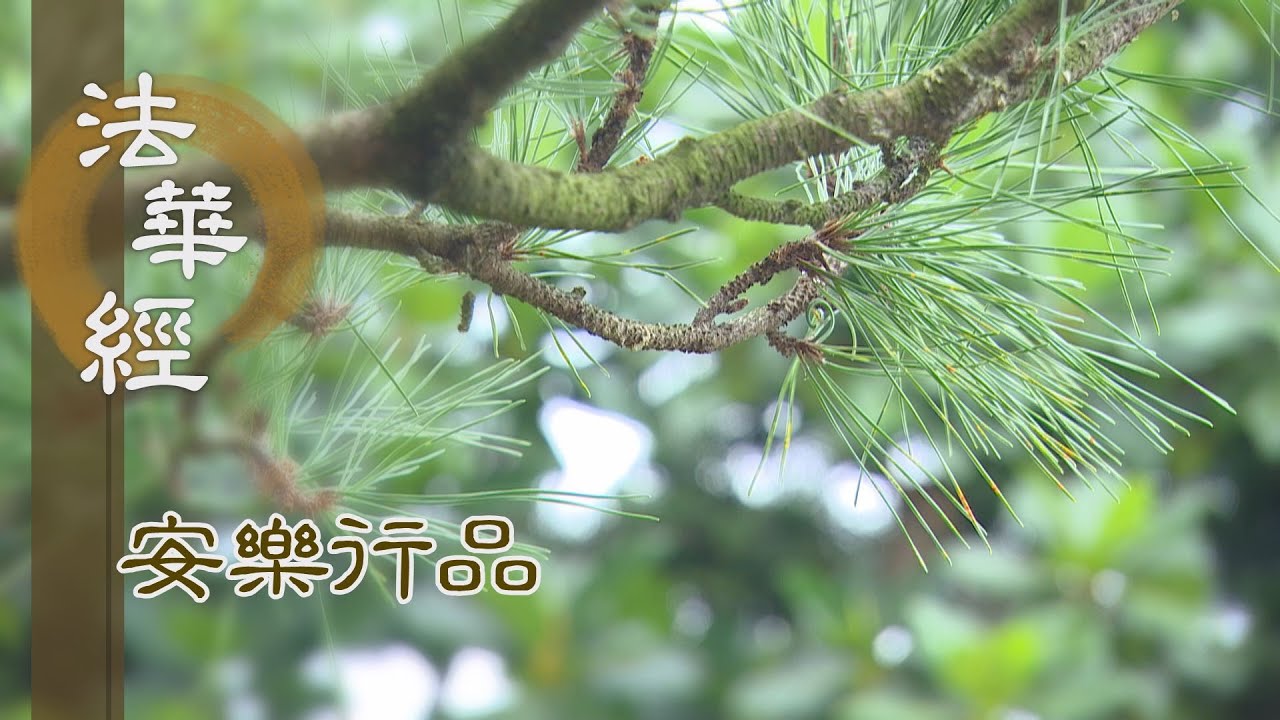 【靜思妙蓮華】法華經安樂行品 - 五欲招苦 離惡近善 - 20230428 第1403集