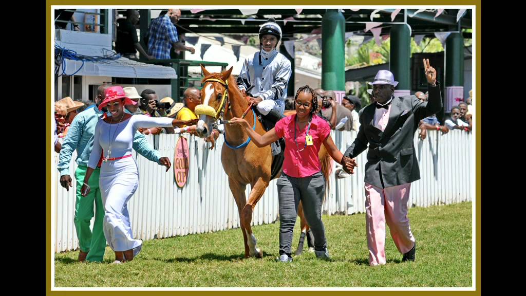 Barbados Horse Racing at the Garrison Savannah, Racing first season 2014
