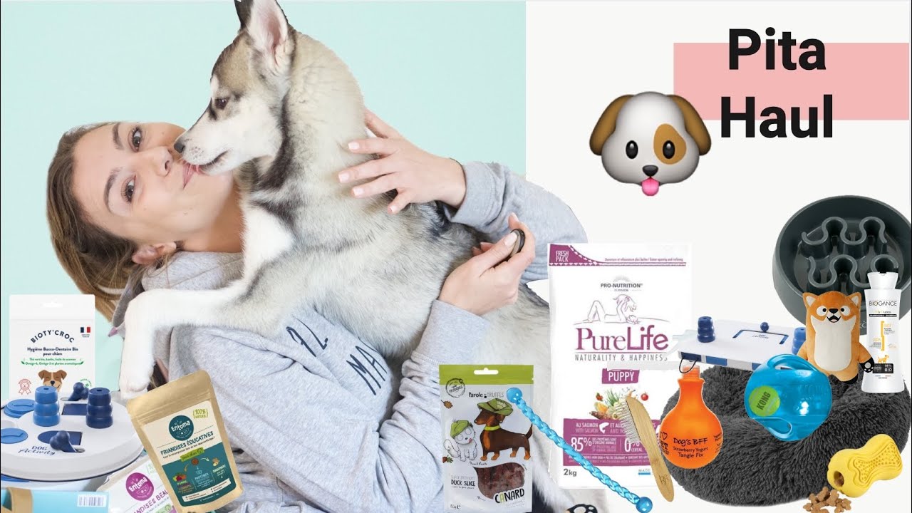 HAUL CANIN l Ce que j'achète à mon chiot 🐶