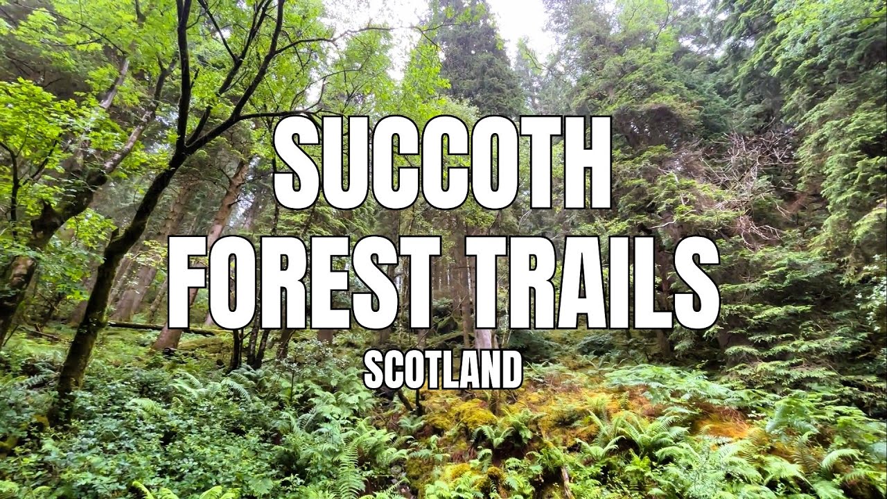 SUCCOTH FOREST TRAILS Highlights Tour [4K] | Succoth, Arrochar, Scotland, UK