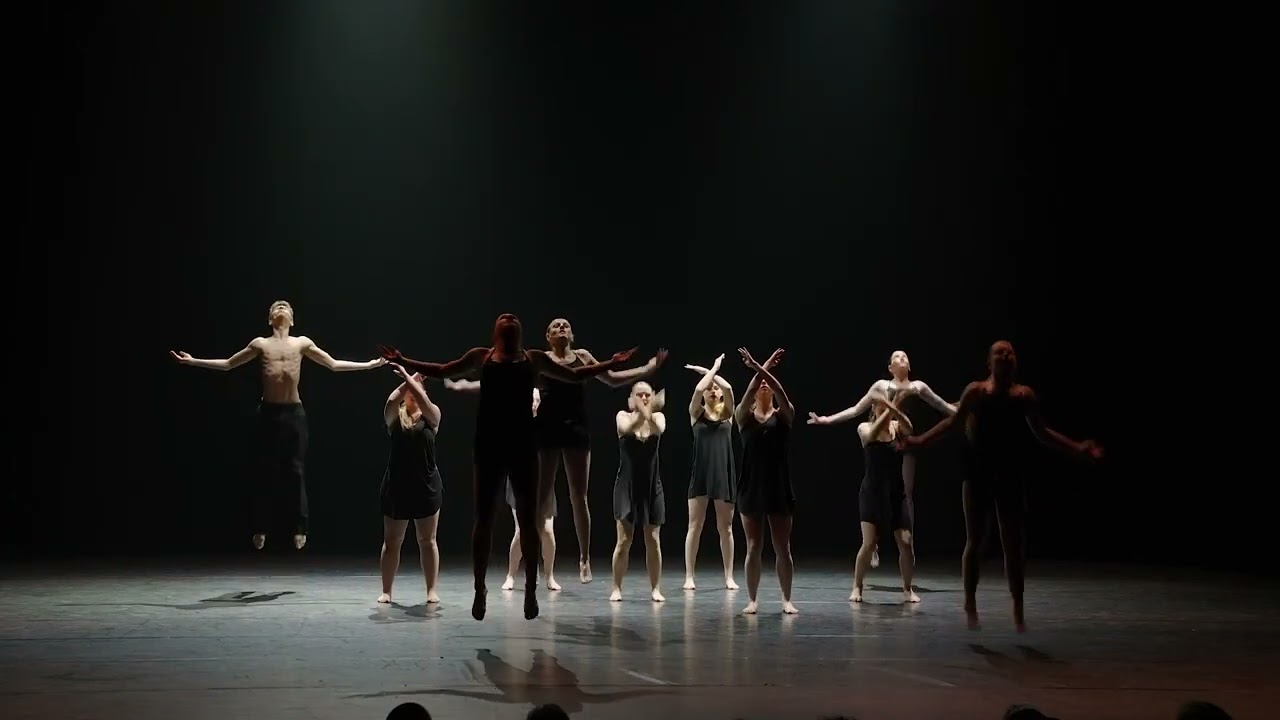 Dansshow 