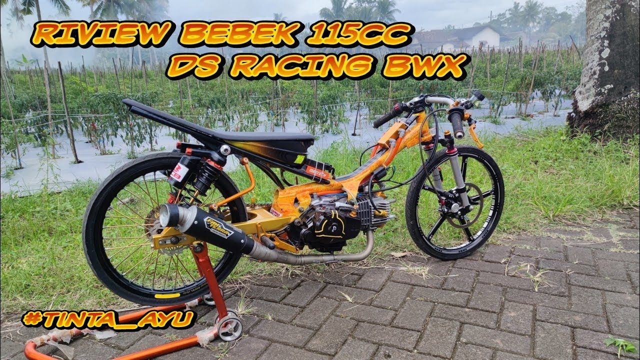 RIVIEW SLEEP ENGINE 115 CC STD DS RACING BWX