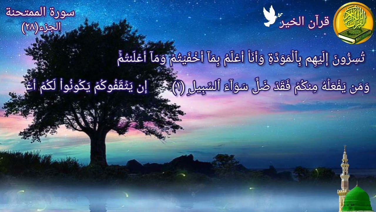 سورة الممتحنة مكررة مرتين بصوت القارئ فارس عباد🍃🌸