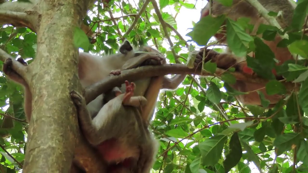 The Best Videos! Cute Baby...! Summary Videos Adorable baby!...