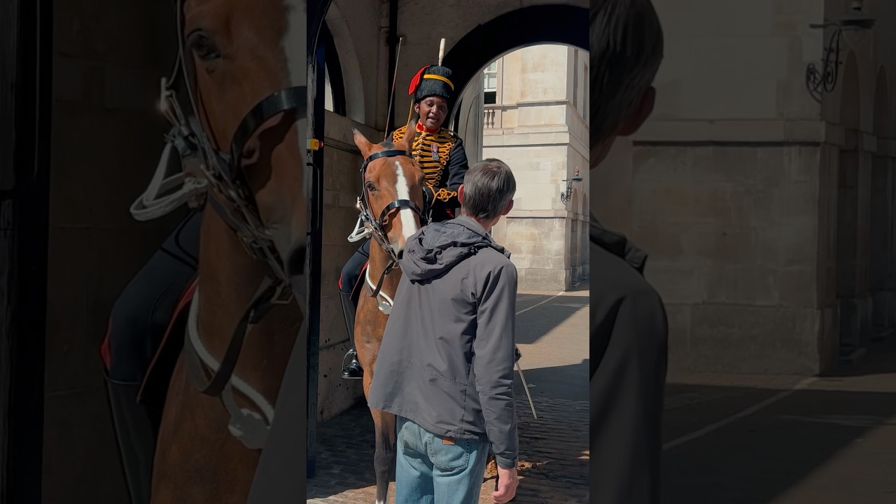 HE CHALLENGES ROYAL GUARD, POLICE STEP IN! 💂| Horse Guards, Royal guard, Kings Guard, Horse, London