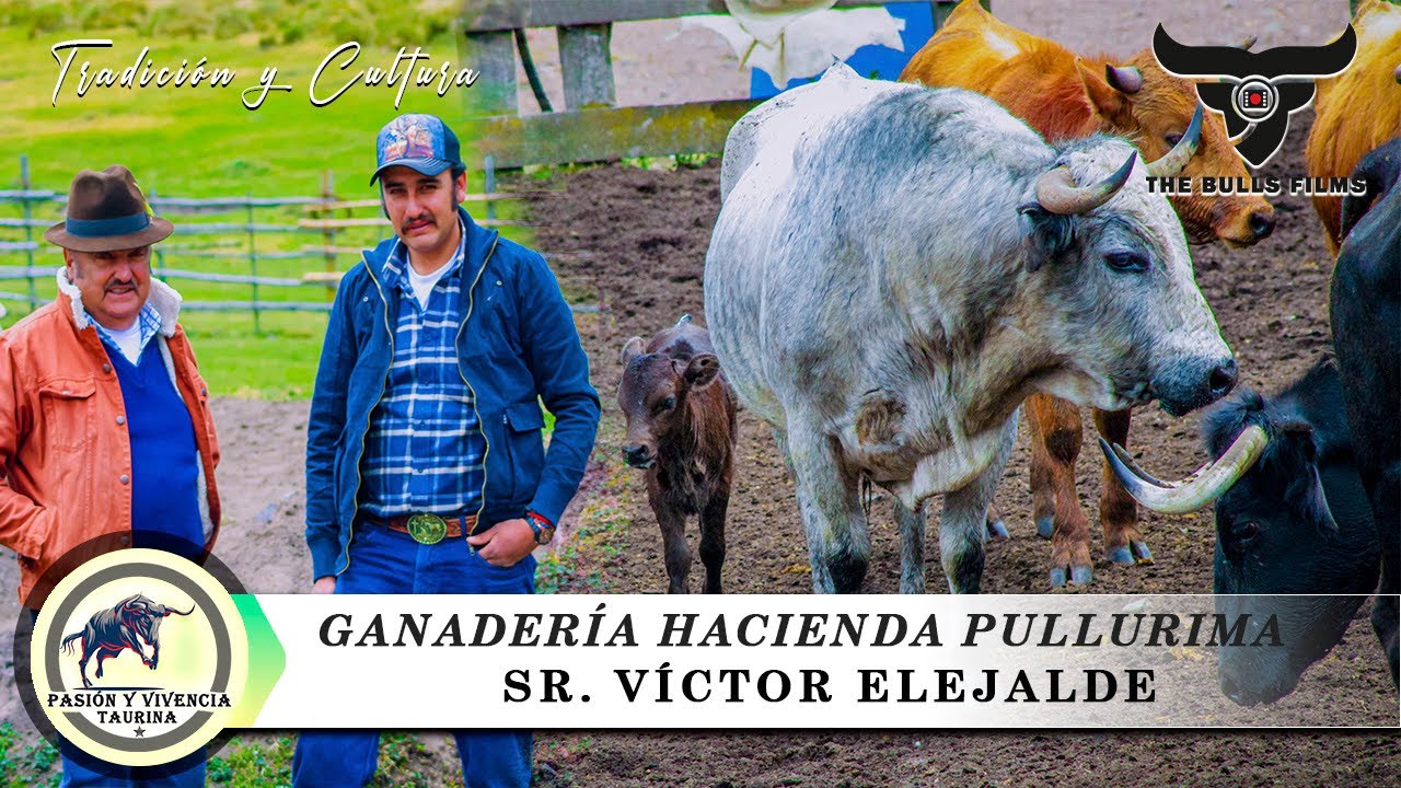 GANADERÍA HACIENDA PULLURIMA - SR. VÍCTOR ELEJALDE || EMBARQUE DE TOROS BRAVOS || PINTAG - ECUADOR
