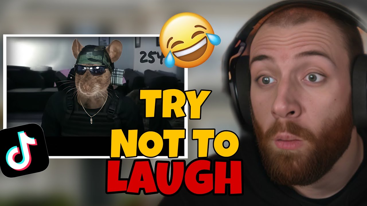 CHAT TRIED TO MAKE ME LAUGH…THIS HAPPENED 