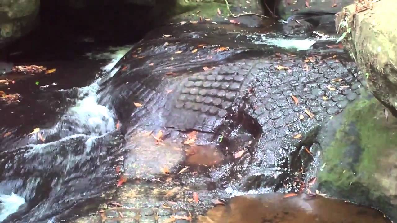 ancient Kbal Spean, River of a Thousand Lingas, Cambodia