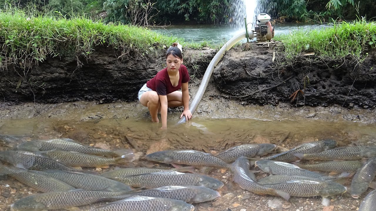 The Girl Into the Woods Catch Big Fish with Machines Pump in Rivers & Lakes, Catch a Lot of Fish