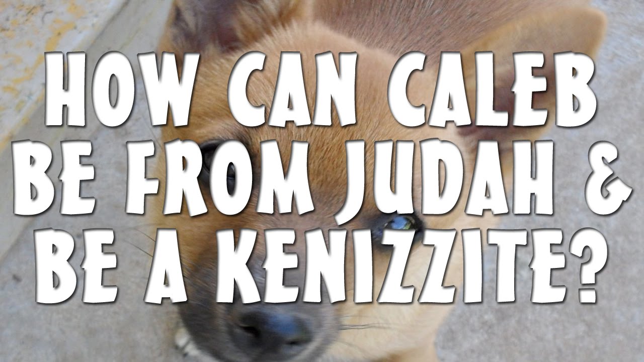 How Can Caleb Be From Judah & Be A Kenizzite? Jono and Jason