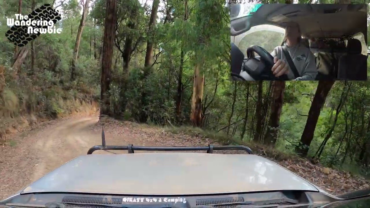 16 Mile Jeep Track - Alpine NP - Victoria