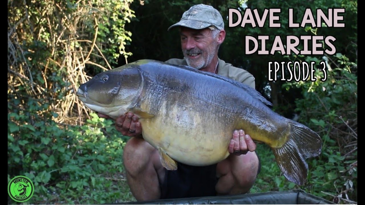 * MONSTER PARTICLES TV ** DAVE LANE DIARIES ....EPISODE 3