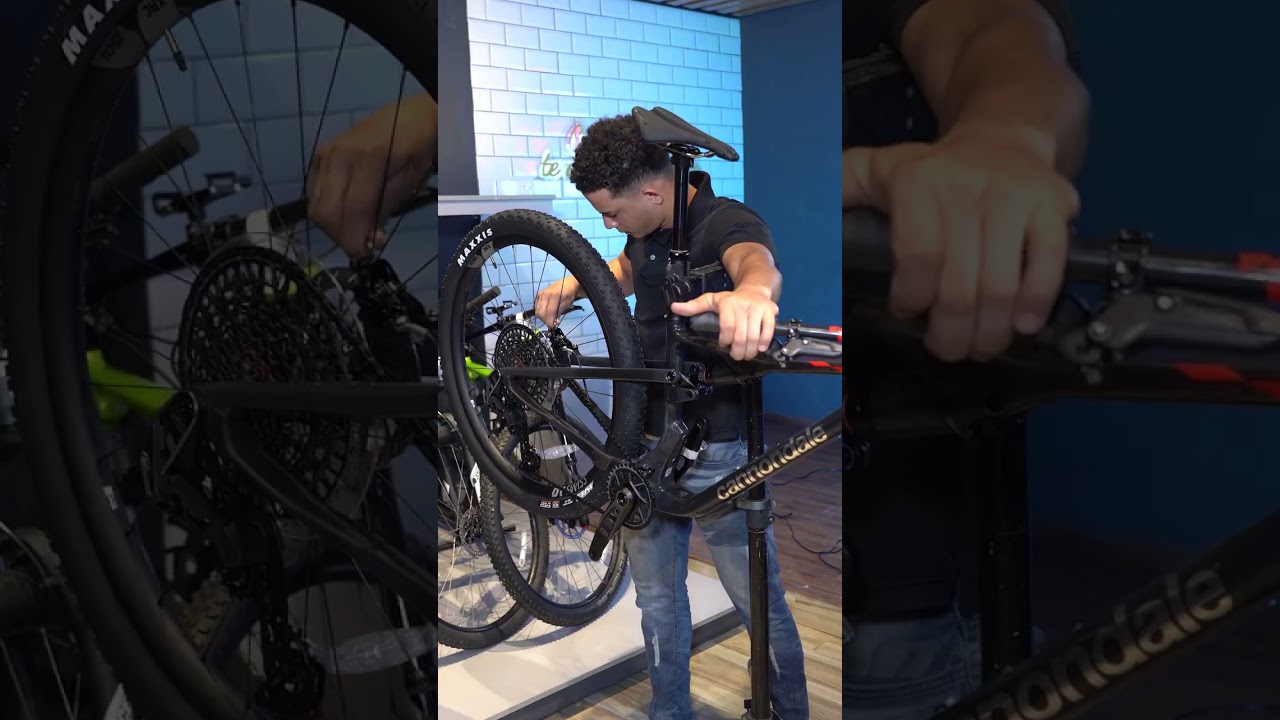Armando la bestia: Cannondale Scalpel Carbon 1 Lefty
