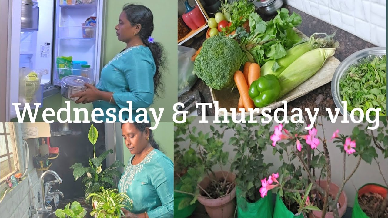Vlog  ll Wednesday evening & Thursday morning routine ll Telugu ll