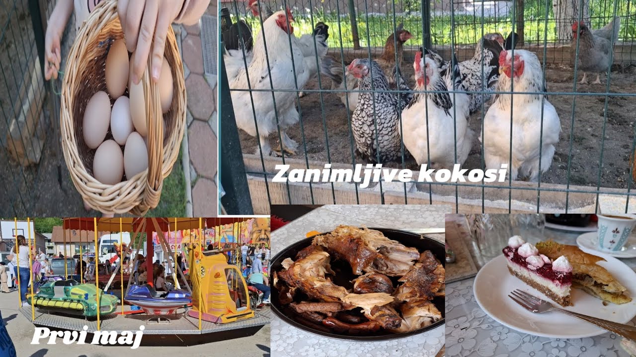 Kako smo se proveli za prvi maj/ Vasar u Sapni