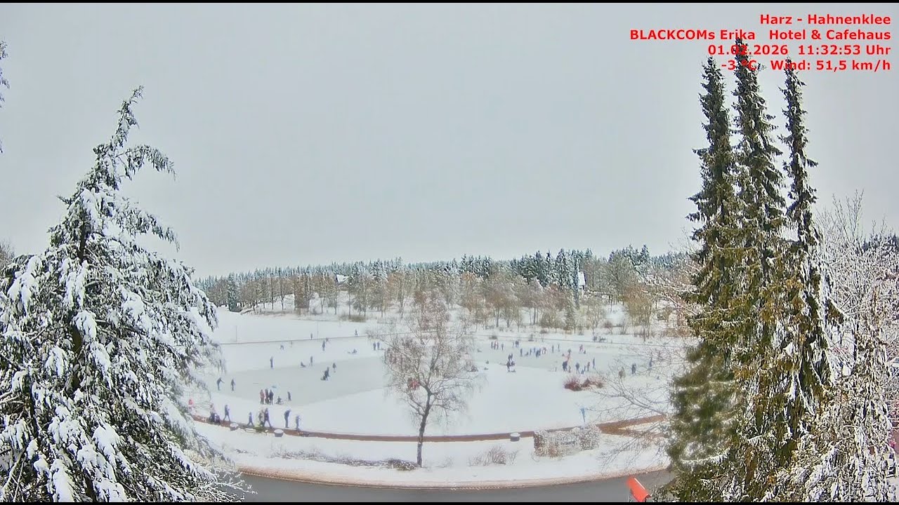 Harz - Hahnenklee - Zeitraffer 01. - 02.02.2026