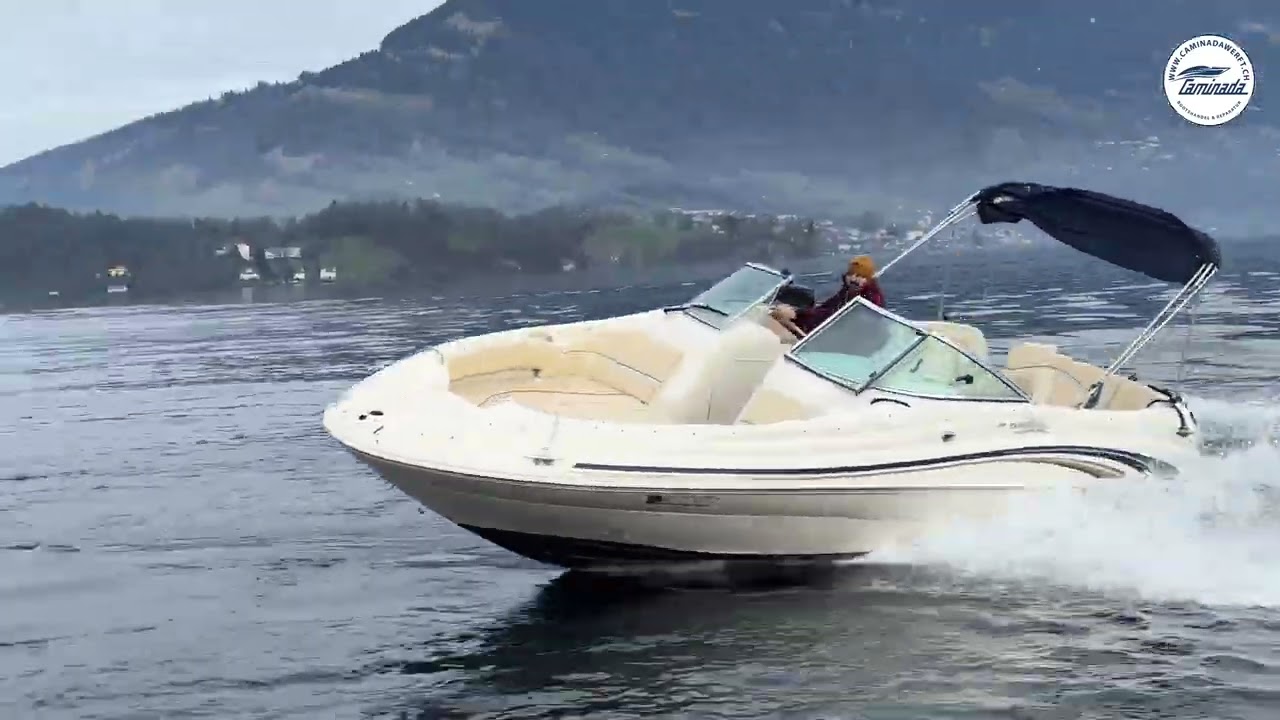 Sea Ray 210 Sundeck