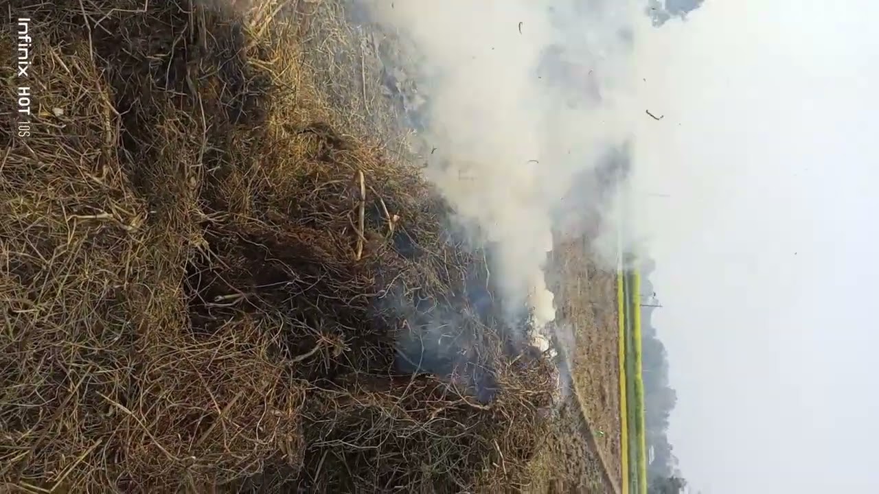 আজ আমাদের জমিতে ধান লাগানো কাজ শুরু হলো 🌾🌾🌾🌾🙏🏻🙏🏻🙏🏻❤️❤️❤️