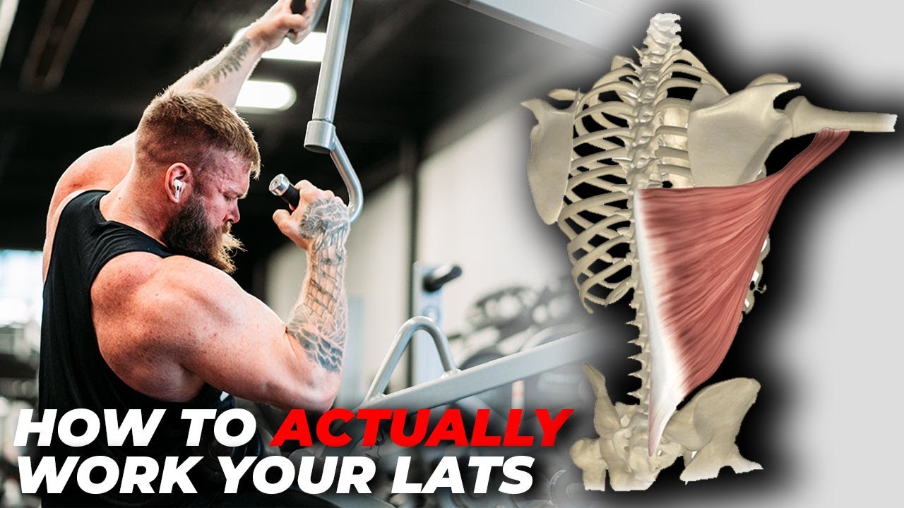 ALL ABOUT THE LATS | ft. Dr. JORDAN SHALLOW