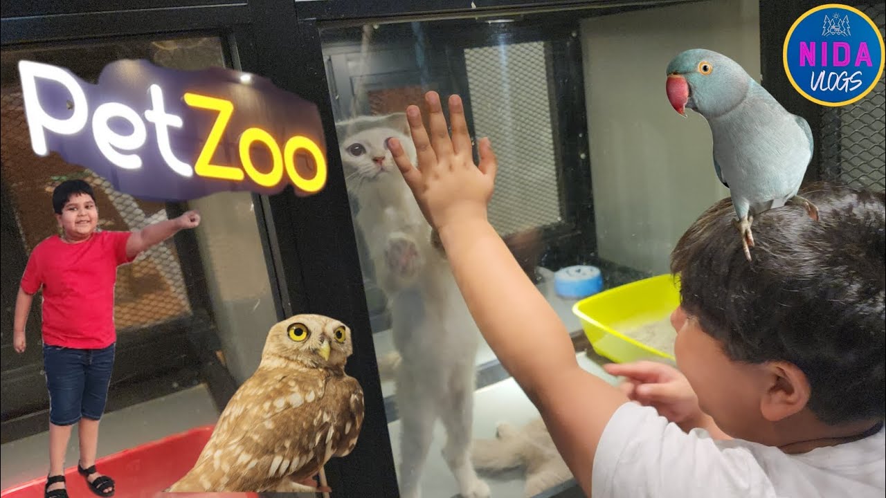 EXPLORING PET ZOO | FAMOUS PET SHOP IN MUSCAT | CATS | DOGS 🐕 | REPTILES | BIRDS | OWL 🦉 | FISHES 🐟