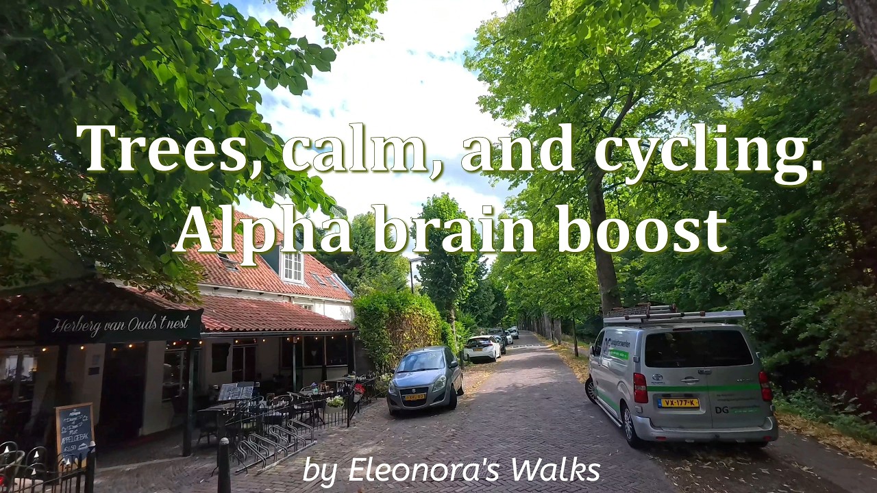 Is this the perfect summer morning in The Hague? Netherlands | Peaceful bike ride | 